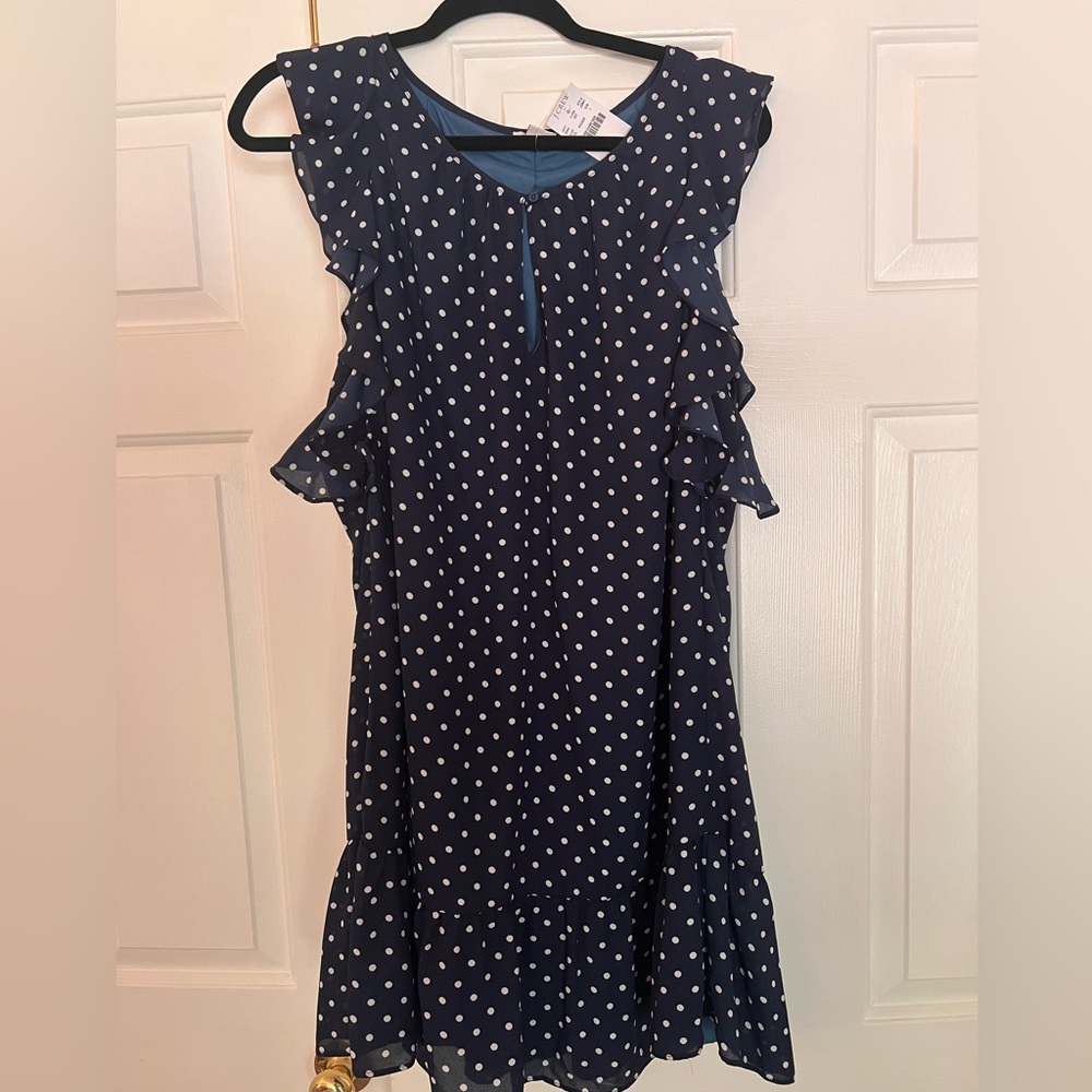 J Crew Size Large Polka Dot Dress